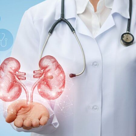 Doctor urologist shows kidneys on a blue background.